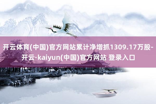开云体育(中国)官方网站累计净增抓1309.17万股-开云·kaiyun(中国)官方网站 登录入口