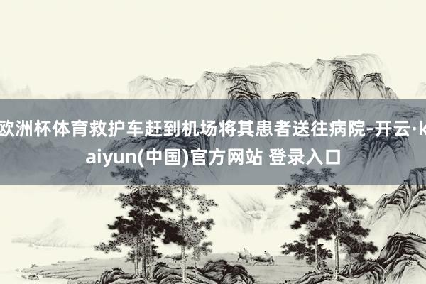 欧洲杯体育救护车赶到机场将其患者送往病院-开云·kaiyun(中国)官方网站 登录入口