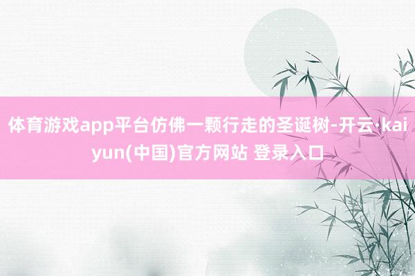体育游戏app平台仿佛一颗行走的圣诞树-开云·kaiyun(中国)官方网站 登录入口