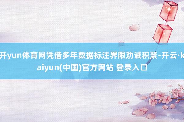 开yun体育网凭借多年数据标注界限劝诫积聚-开云·kaiyun(中国)官方网站 登录入口