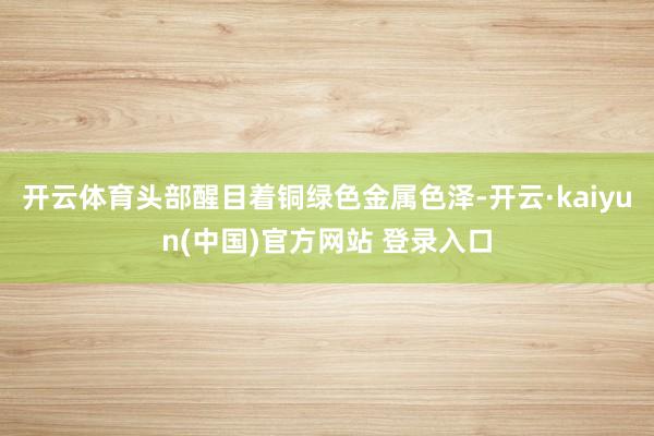 开云体育头部醒目着铜绿色金属色泽-开云·kaiyun(中国)官方网站 登录入口