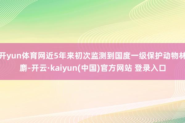 开yun体育网近5年来初次监测到国度一级保护动物林麝-开云·kaiyun(中国)官方网站 登录入口