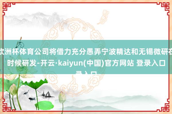 欧洲杯体育公司将借力充分愚弄宁波精达和无锡微研在时候研发-开云·kaiyun(中国)官方网站 登录入口