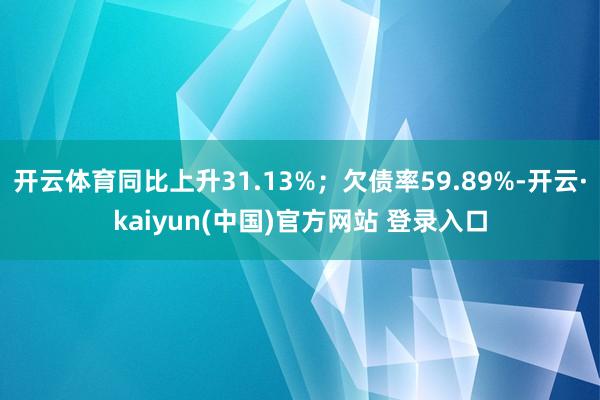 开云体育同比上升31.13%；欠债率59.89%-开云·kaiyun(中国)官方网站 登录入口