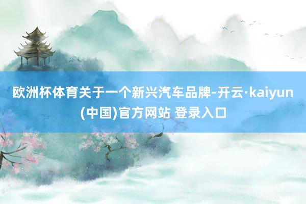 欧洲杯体育关于一个新兴汽车品牌-开云·kaiyun(中国)官方网站 登录入口