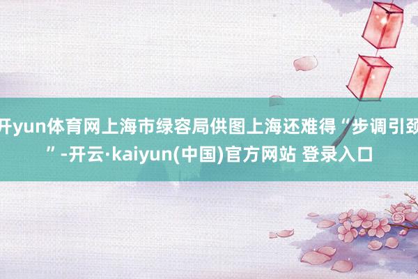 开yun体育网上海市绿容局供图上海还难得“步调引颈”-开云·kaiyun(中国)官方网站 登录入口