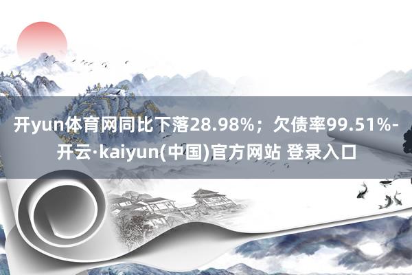 开yun体育网同比下落28.98%；欠债率99.51%-开云·kaiyun(中国)官方网站 登录入口