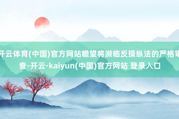 开云体育(中国)官方网站瞻望将濒临反操纵法的严格审查-开云·kaiyun(中国)官方网站 登录入口
