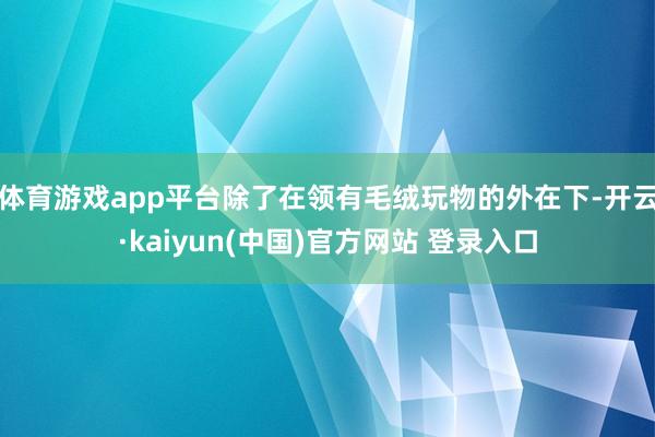 体育游戏app平台除了在领有毛绒玩物的外在下-开云·kaiyun(中国)官方网站 登录入口
