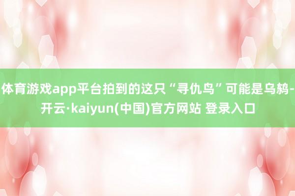 体育游戏app平台拍到的这只“寻仇鸟”可能是乌鸫-开云·kaiyun(中国)官方网站 登录入口