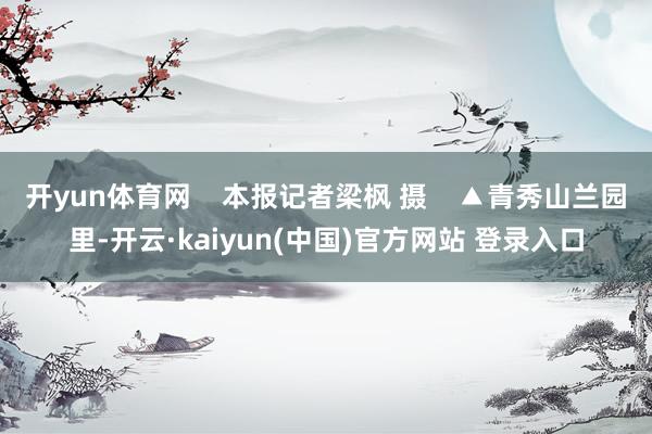 开yun体育网    本报记者梁枫 摄    ▲青秀山兰园里-开云·kaiyun(中国)官方网站 登录入口