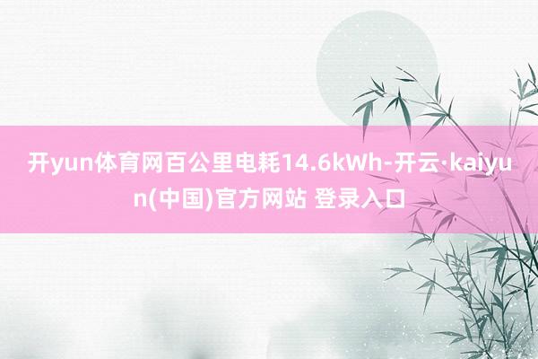 开yun体育网百公里电耗14.6kWh-开云·kaiyun(中国)官方网站 登录入口